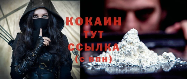 apvp Верея