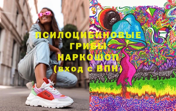 apvp Верея