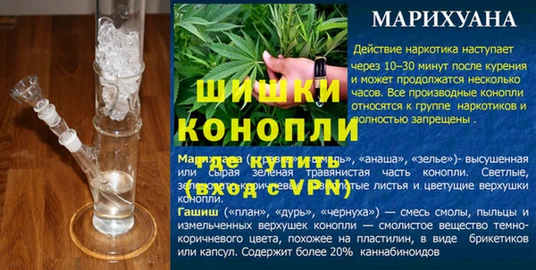 apvp Верея