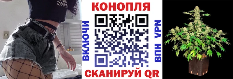 Бошки марихуана план Новохопёрск